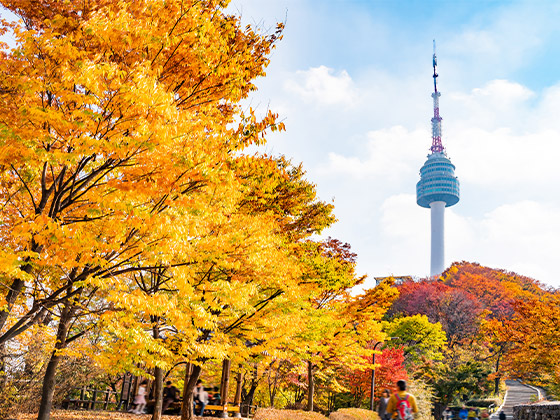 넓은 색 재현력