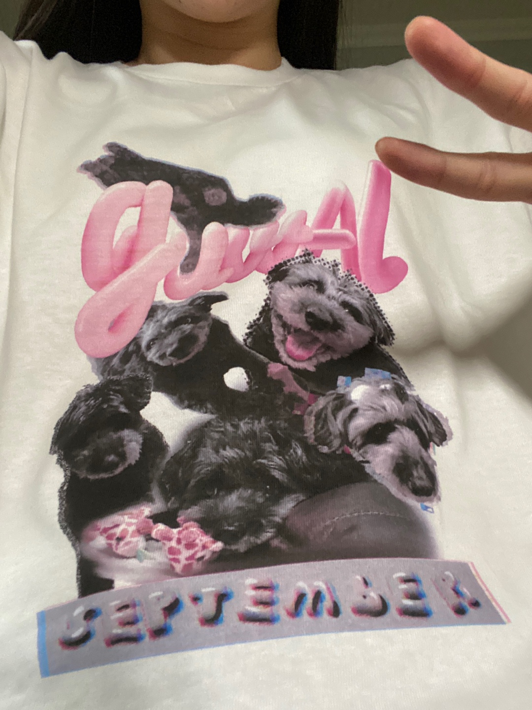 ̹