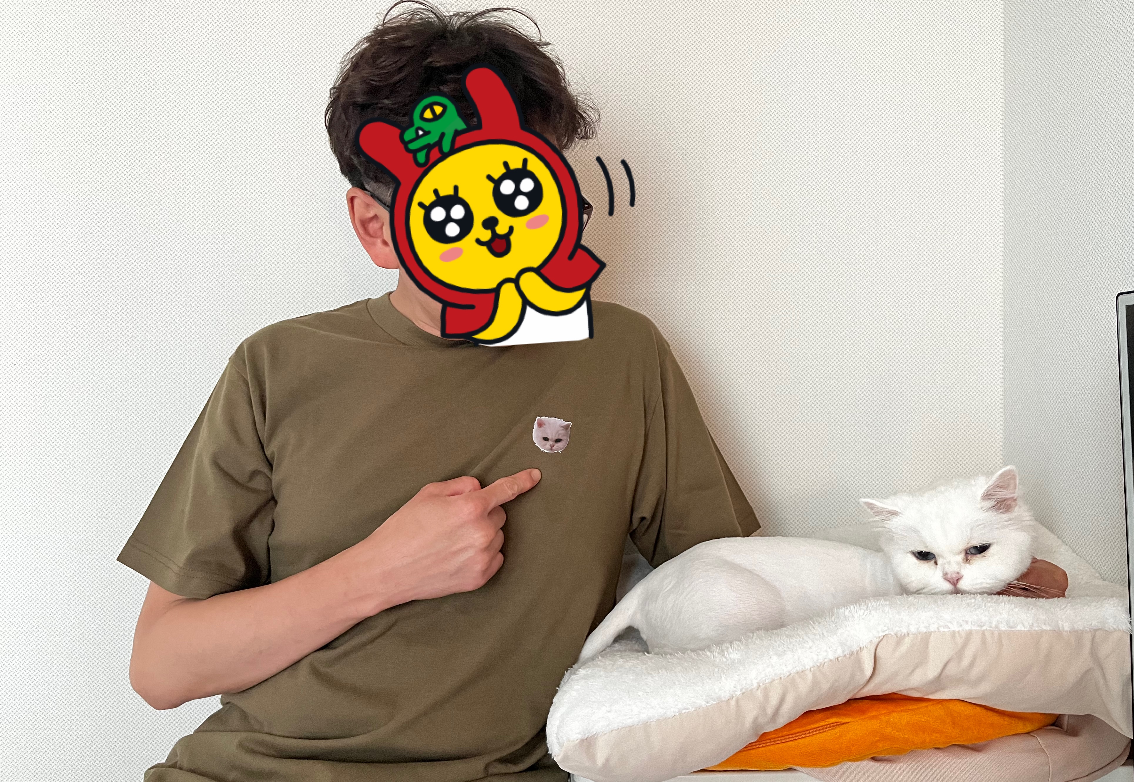 ̹