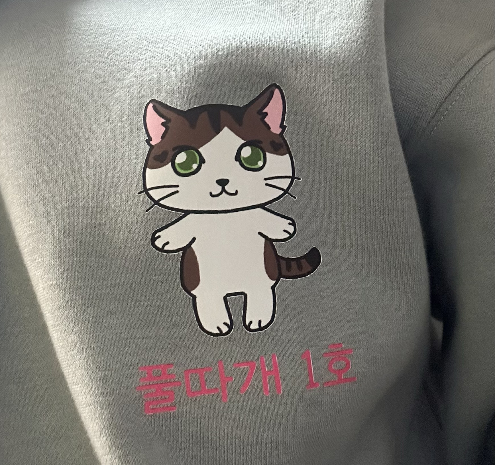 ̹