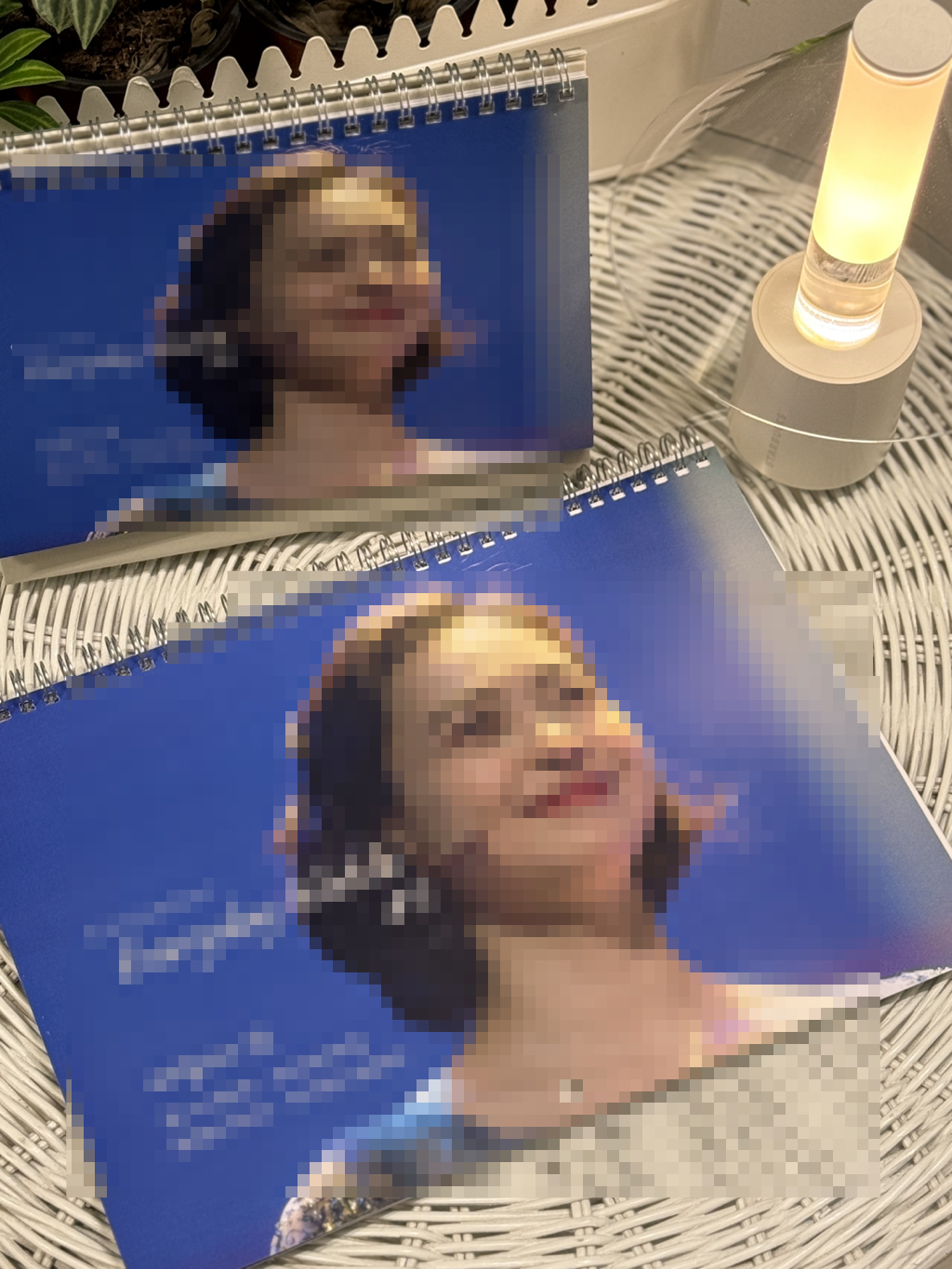 ̹