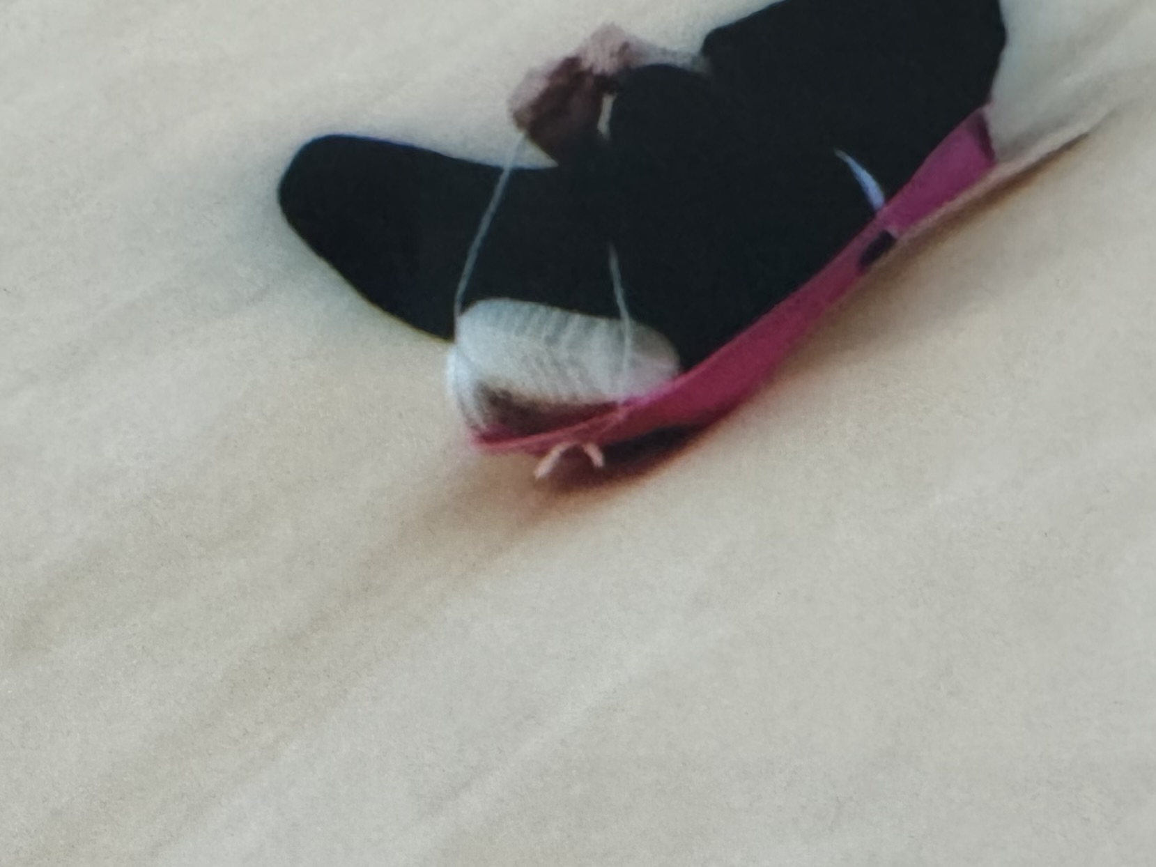 ̹