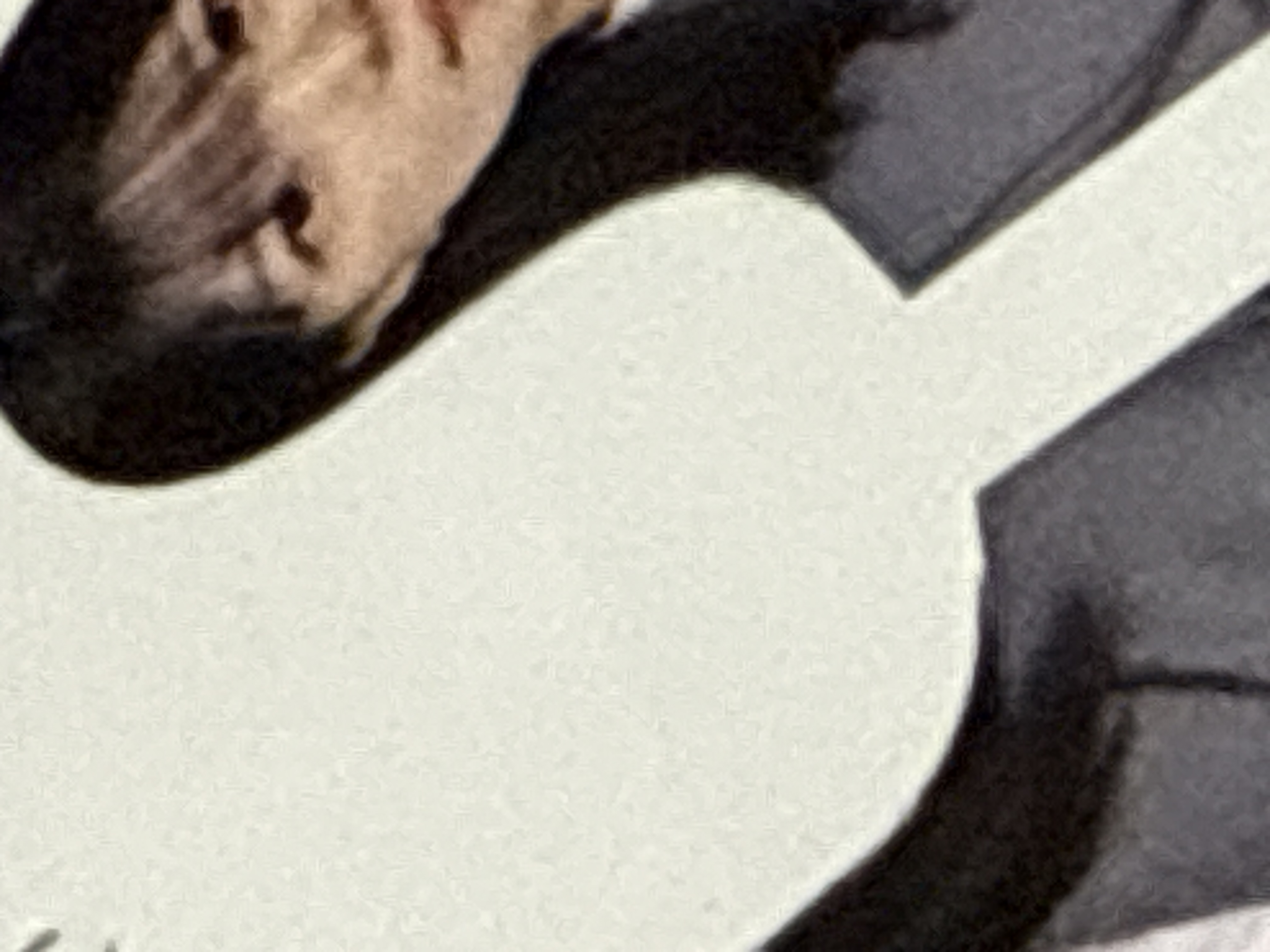 ̹