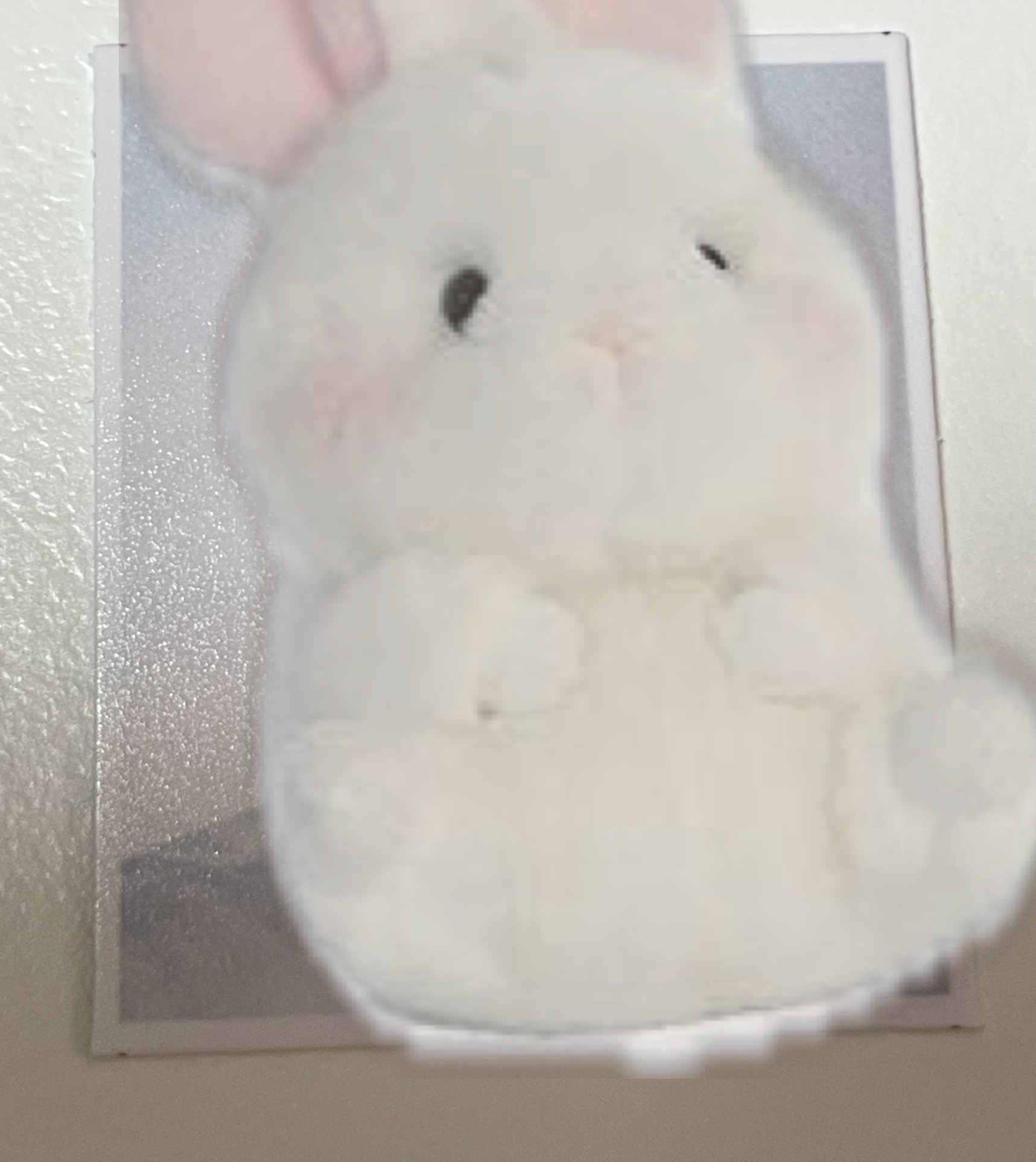 ̹