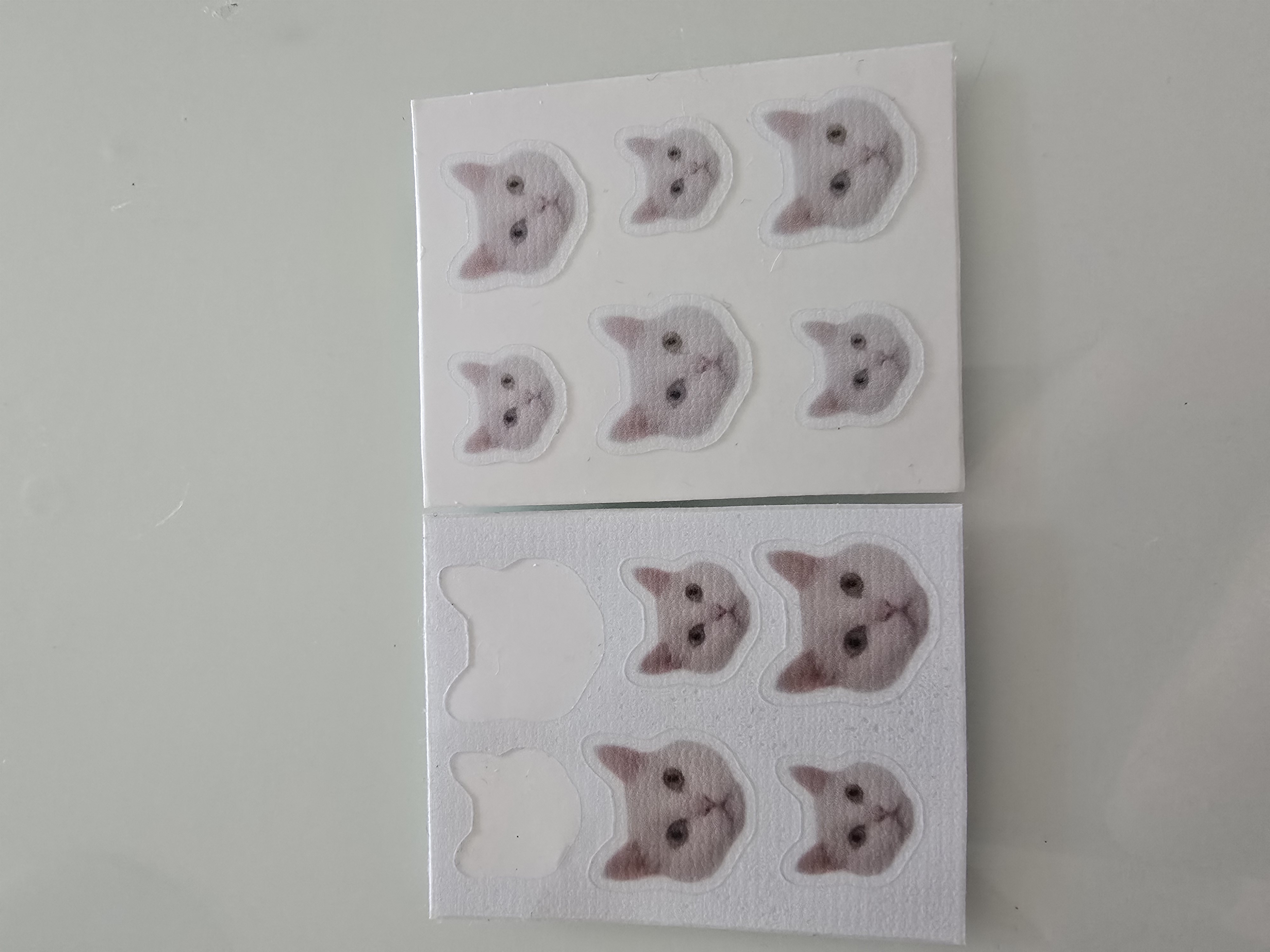 ̹