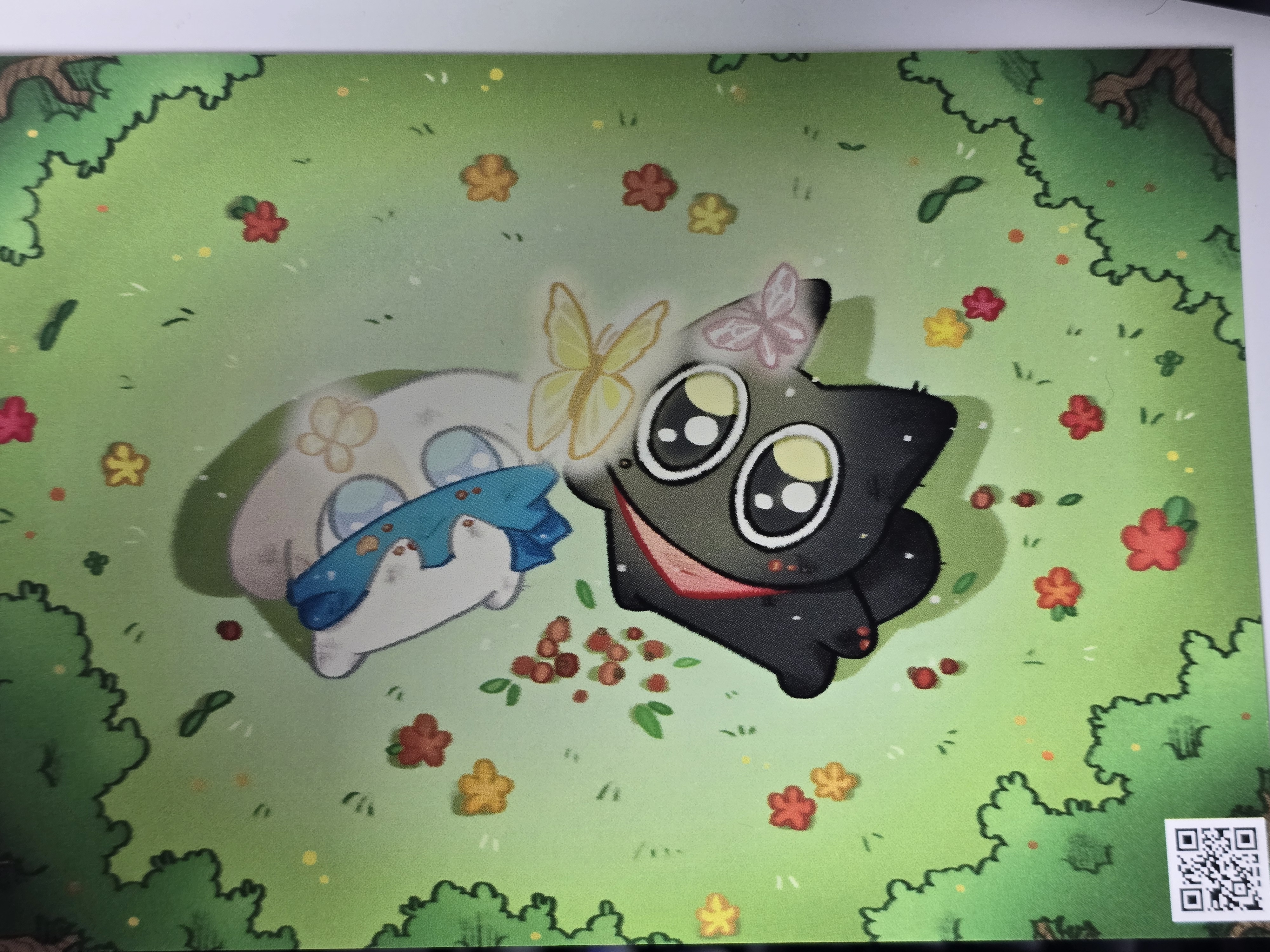 ̹