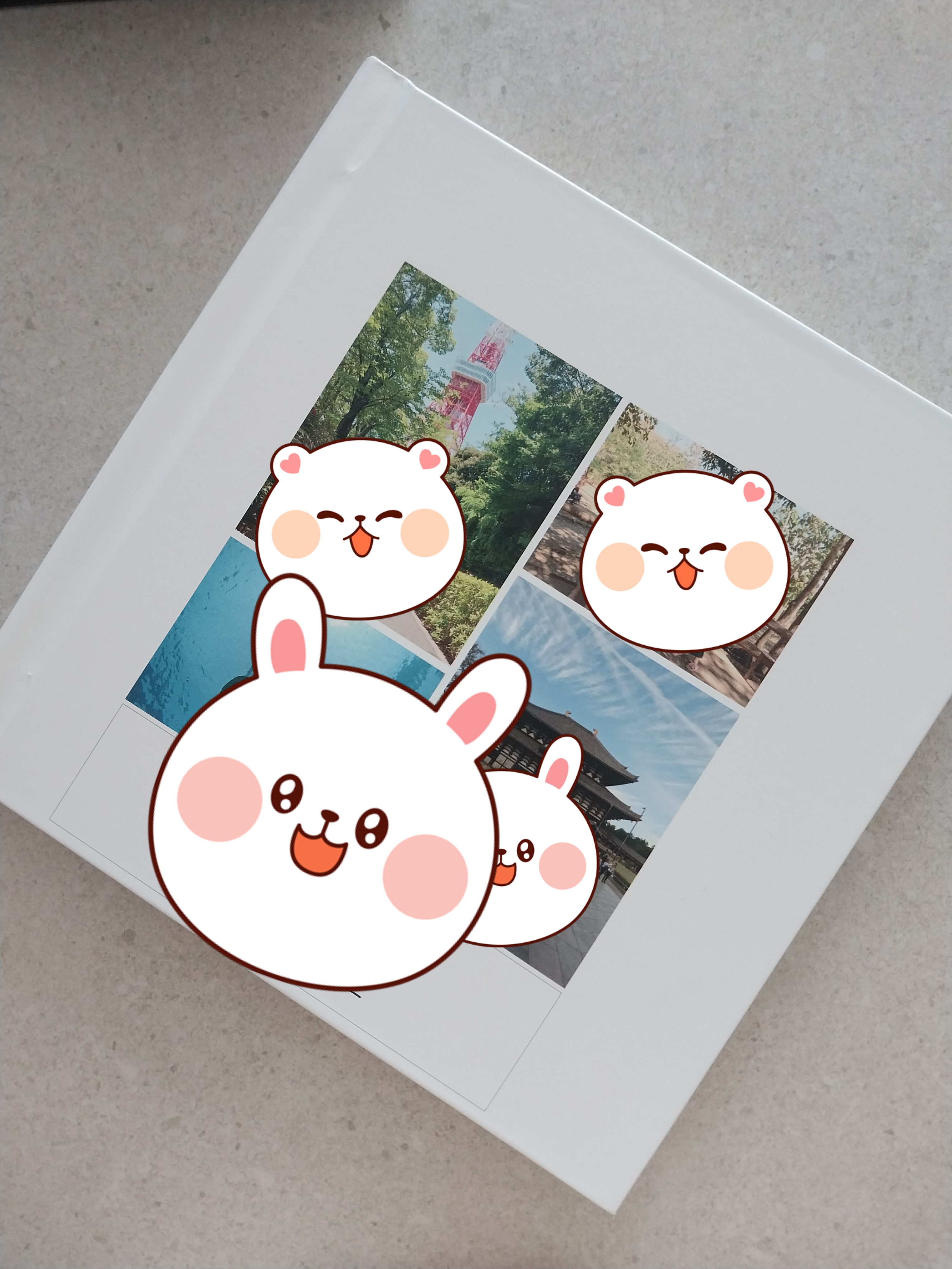 ̹
