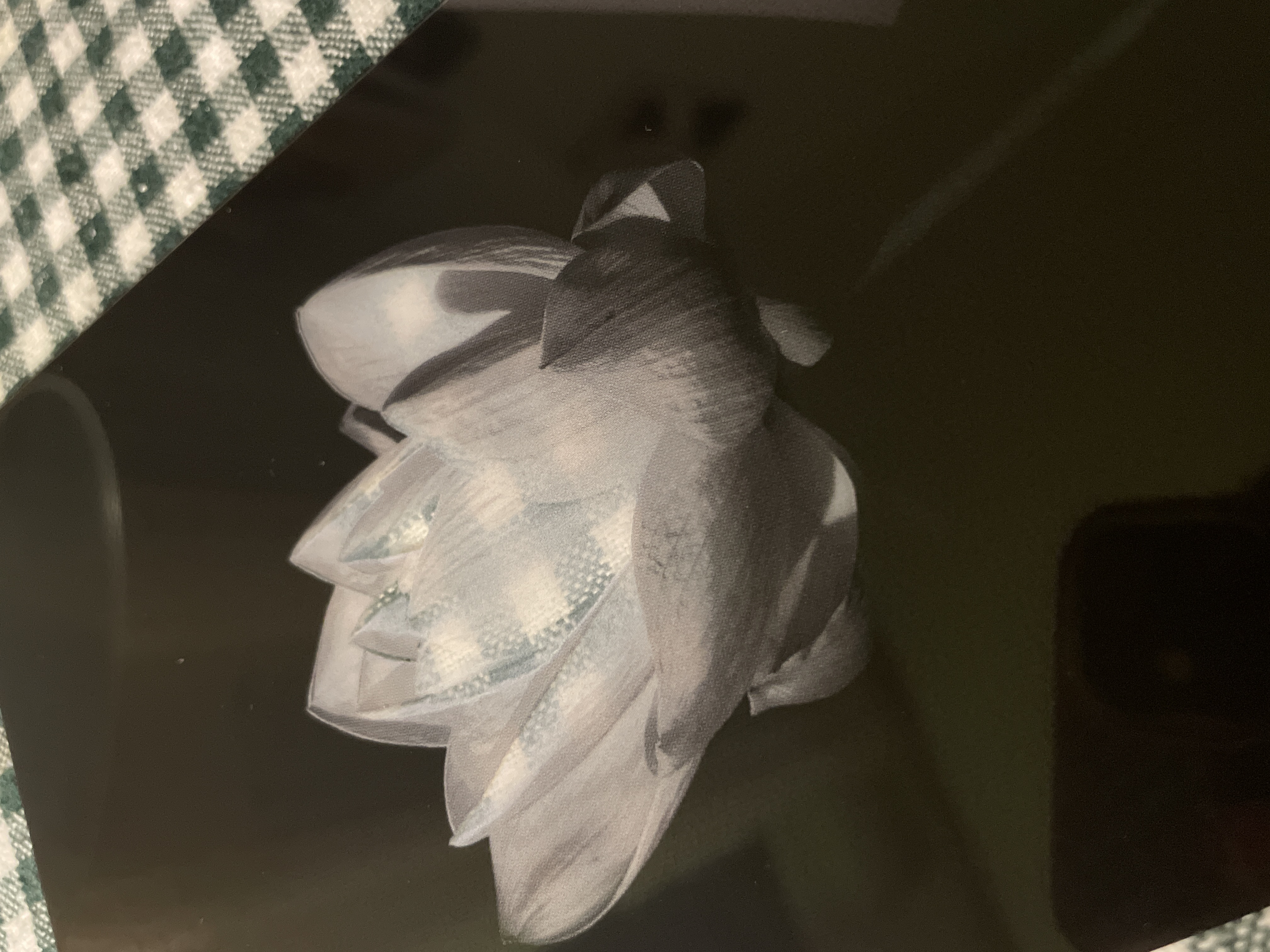 ̹