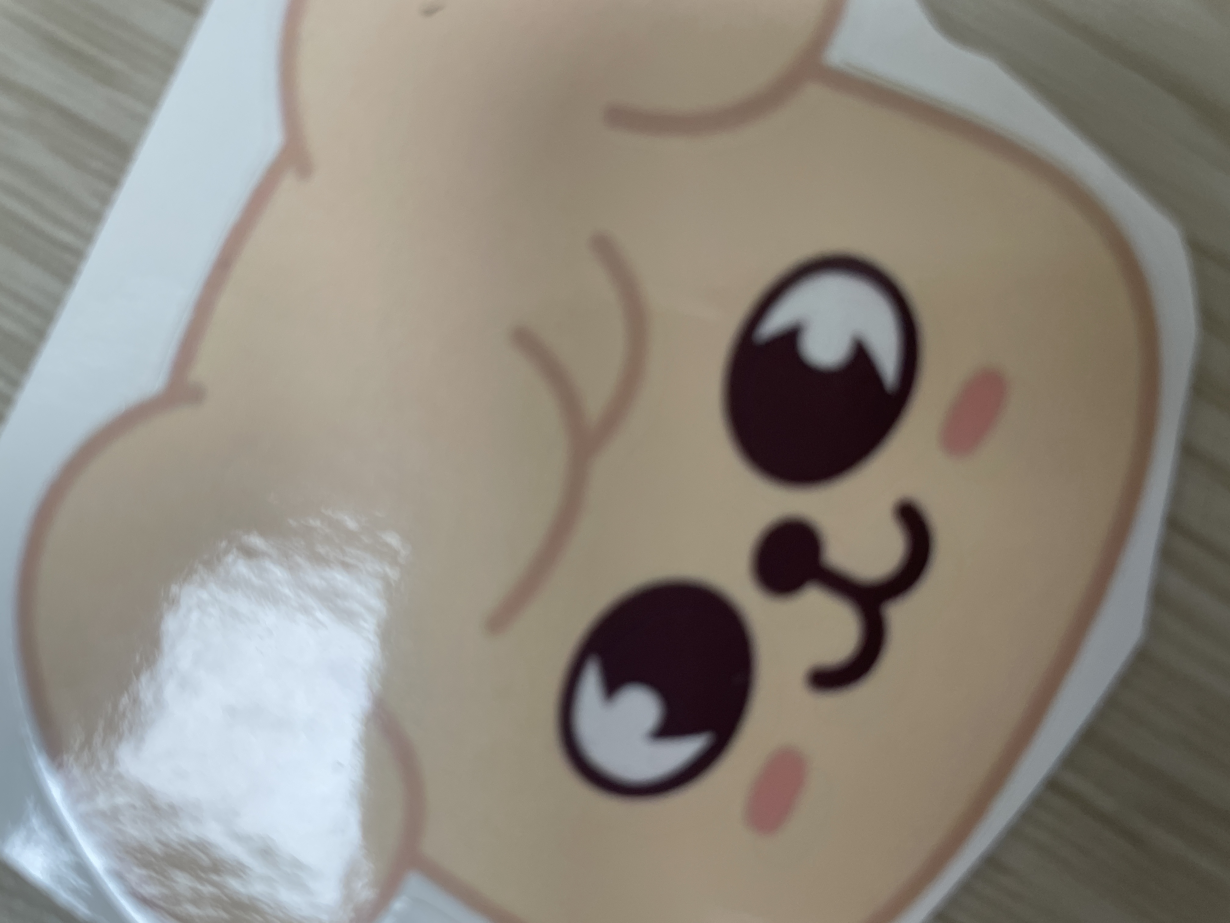 ̹