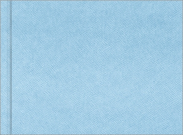 Ƽ